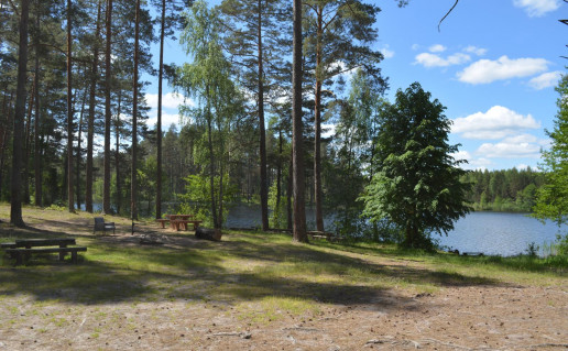 34_Galono II stovyklavietė (1).jpg